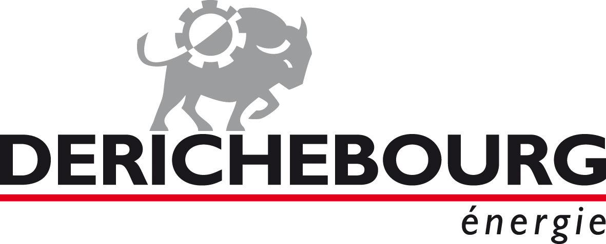Logo DERICHEBOURG RVB sans fond